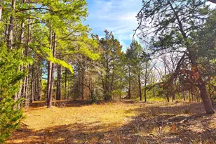 Lot 463 Us-175, LaRue, TX 75770 - Photo 25