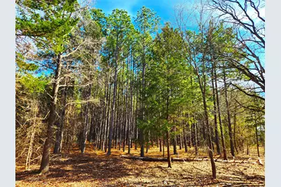 Lot 463 Us-175, LaRue, TX 75770 - Photo 7