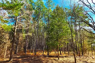 Lot 463 Us-175, LaRue, TX 75770 - Photo 7