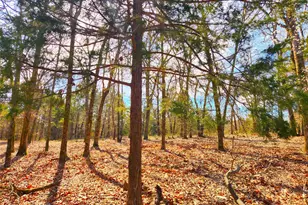 Lot 463 Us-175, LaRue, TX 75770 - Photo 9