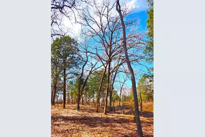 Lot 463 Us-175, LaRue, TX 75770 - Photo 13