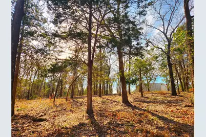 Lot 463 Us-175, LaRue, TX 75770 - Photo 5