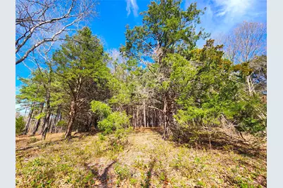 Lot 463 Us-175, LaRue, TX 75770 - Photo 35