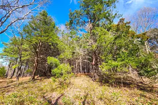 Lot 463 Us-175, LaRue, TX 75770 - Photo 35