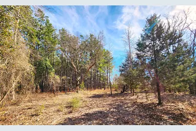 Lot 463 Us-175, LaRue, TX 75770 - Photo 37