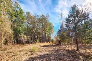 Lot 463 Us-175, LaRue, TX 75770 - Photo 37
