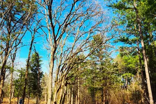 Lot 463 Us-175, LaRue, TX 75770 - Photo 17