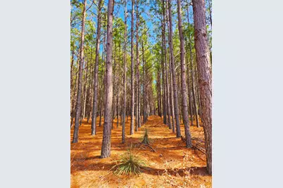 Lot 463 Us-175, LaRue, TX 75770 - Photo 23