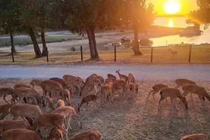2334 San Bar Rd, Possum Kingdom Lake, TX 76449 - Photo 21
