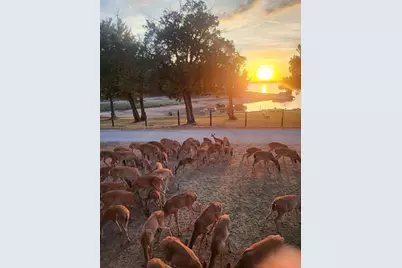 2334 Sanbar Road #86, Possum Kingdom Lake, TX 76449 - Photo 19