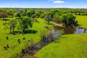 800 County Rd 426, Cleburne, TX 76031 - Photo 9