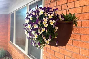 210 N Summit St, Red Oak, TX 75154 - Photo 3