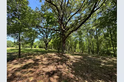 0 Pine Ridge Court, Athens, TX 75752 - Photo 11