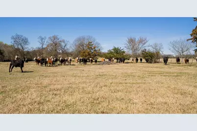 547 Fm 1896, Mount Vernon, TX 75457 - Photo 21