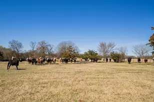 547 FM 1896, Mount Vernon, TX 75457 - Photo 21