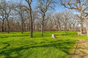 102 Shady Oak Dr, Weatherford, TX 76087 - Photo 31