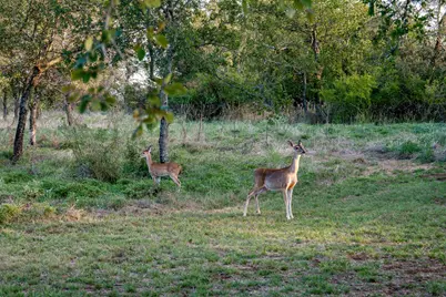 217 E Bay Drive, Bridgeport, TX 76426 - Photo 37