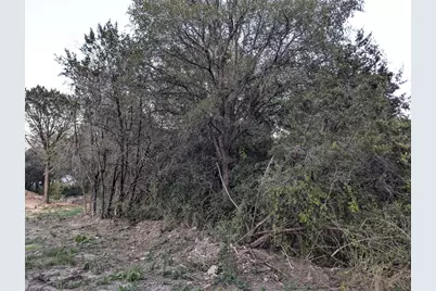 914 Indian Creek Drive, Granbury, TX 76048 - Photo 3