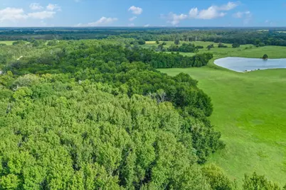 68(+/-) Acres Fm 773, Grand Saline, TX 75140 - Photo 23