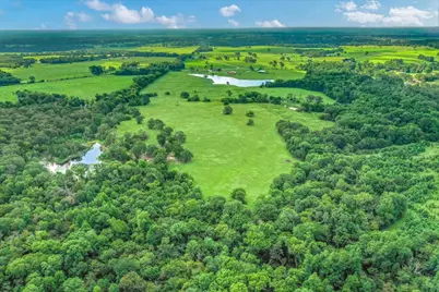 68(+/-) Acres Fm 773, Grand Saline, TX 75140 - Photo 17