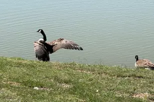 8729 Lake Meadows Ln, Fort Worth, TX 76053 - Photo 39