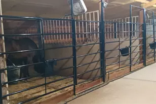 16515 N US Hwy 281, Hico, TX 76457 - Photo 27