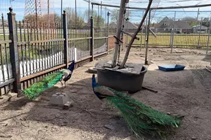 2104 Ponderosa Trail, Sachse, TX 75048 - Photo 39