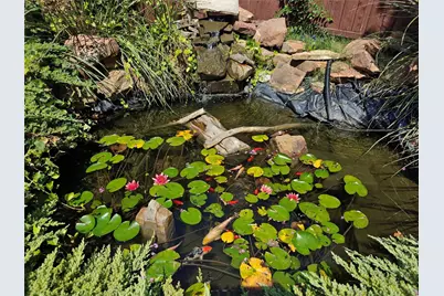 4209 Pinecreek Drive, Rowlett, TX 75088 - Photo 3