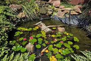 4209 Pinecreek Dr, Rowlett, TX 75088 - Photo 3