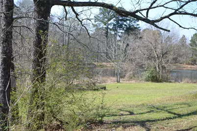 Lot 128, 144 County Road 2123, Quitman, TX 75783 - Photo 5