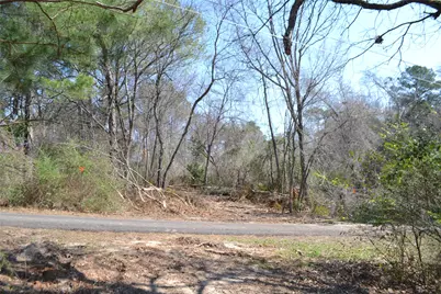 Lot 128, 144 County Road 2123, Quitman, TX 75783 - Photo 7