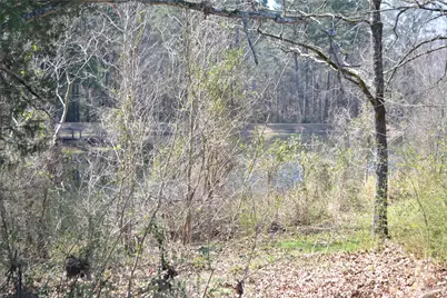 Lot 128, 144 County Road 2123, Quitman, TX 75783 - Photo 13