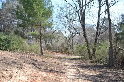 Lot 128, 144 County Road 2123, Quitman, TX 75783 - Photo 9