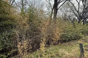 1112 Owhyhe Rd, Tool, TX 75143 - Photo 1