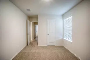 3913 Turquoise Ave, Celina, TX 75009 - Photo 15