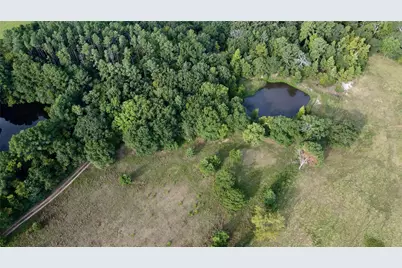 423 County Road 1560, Alba, TX 75410 - Photo 9