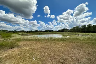 2607 Fm 318 E, Yoakum, TX 77995 - Photo 7