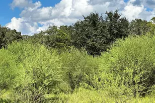 2607 Fm 318 E, Yoakum, TX 77995 - Photo 3