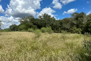 2607 Fm 318 E, Yoakum, TX 77995 - Photo 25