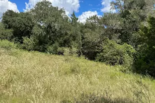 2607 Fm 318 E, Yoakum, TX 77995 - Photo 13