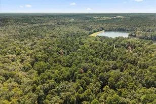 229 Co Rd 4554, Winnsboro, TX 75494 - Photo 7