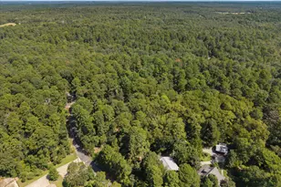 229 Co Rd 4554, Winnsboro, TX 75494 - Photo 9