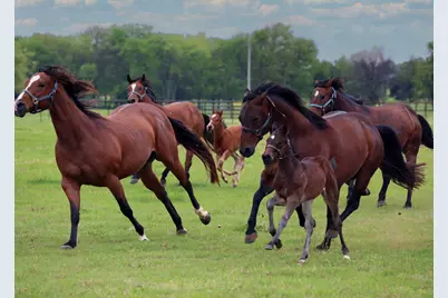 10399 Zipper Road, Pilot Point, TX 76258 - Photo 1