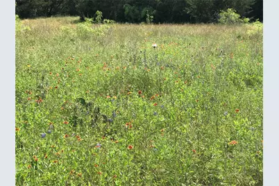 1421 Lakeside Trail, Whitney, TX 76692 - Photo 31