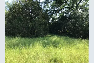 17061 Trailwood Drive, Whitney, TX 76692 - Photo 33