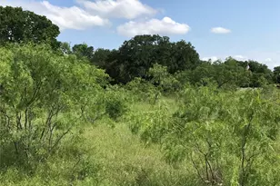 17061 Trailwood Dr, Whitney, TX 76692 - Photo 1