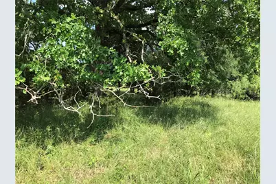 17061 Trailwood Drive, Whitney, TX 76692 - Photo 17