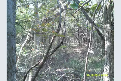 3926 Vista Oak, Royse City, TX 75189 - Photo 17