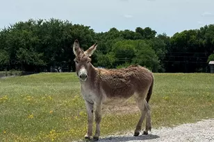 640 Heritage Creek Dr, Rhome, TX 76078 - Photo 19