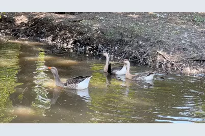 640 Heritage Creek Drive, Rhome, TX 76078 - Photo 17